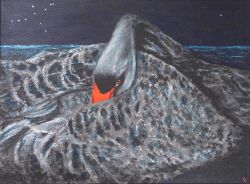 Painting: Black Swan